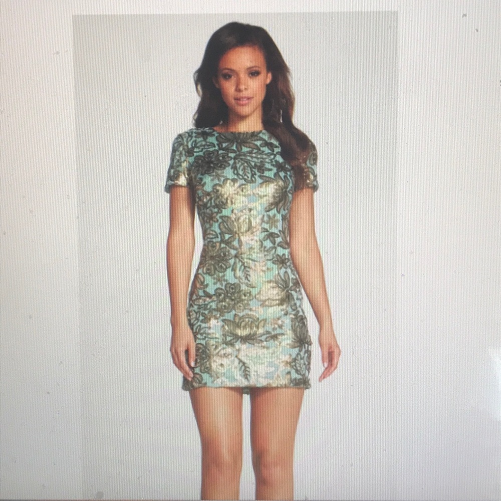 Dress the population- Beverly dress